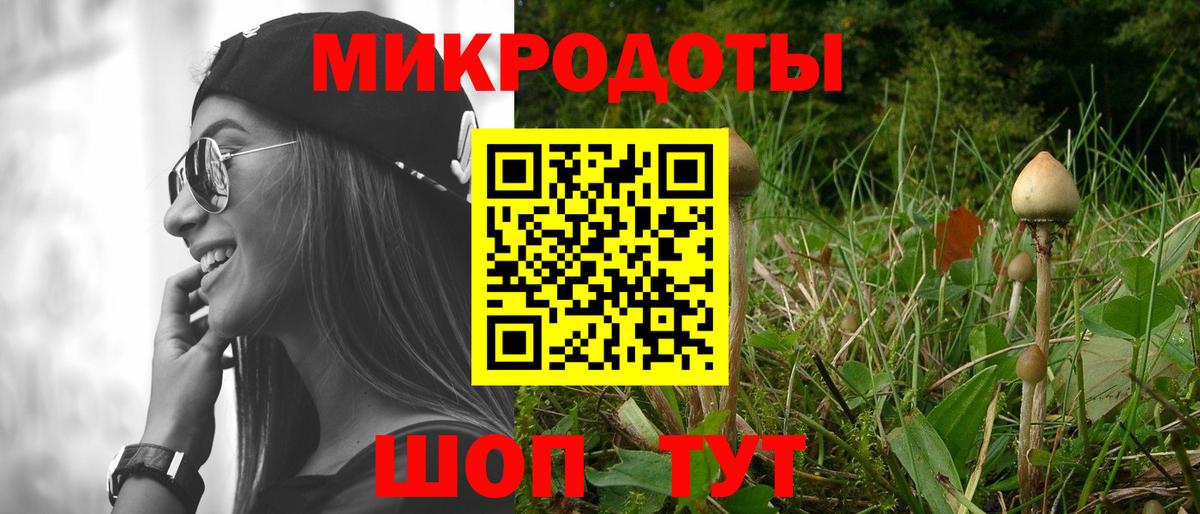 Псилоцибиновые грибы мухоморы Южно-Сахалинск